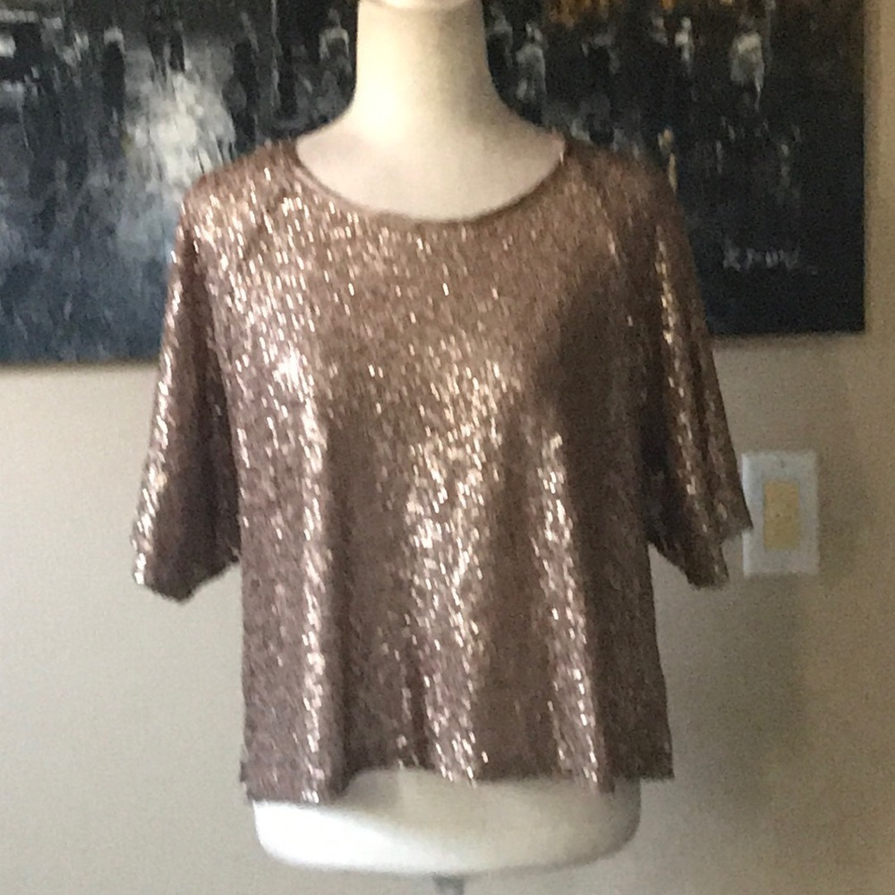 Rebecca Minkoff Sequin Sparkle Cropped Loose Fit Short Sleeve Top-Size L